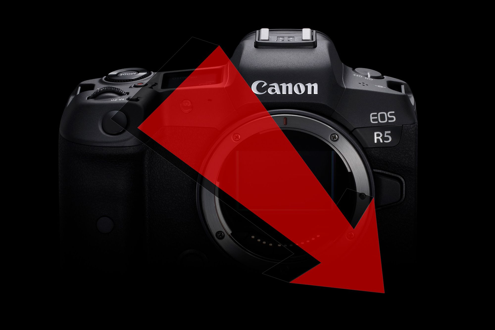 Canon Imaging z 80-procentowym spadkiem w Q1 2020 roku 1