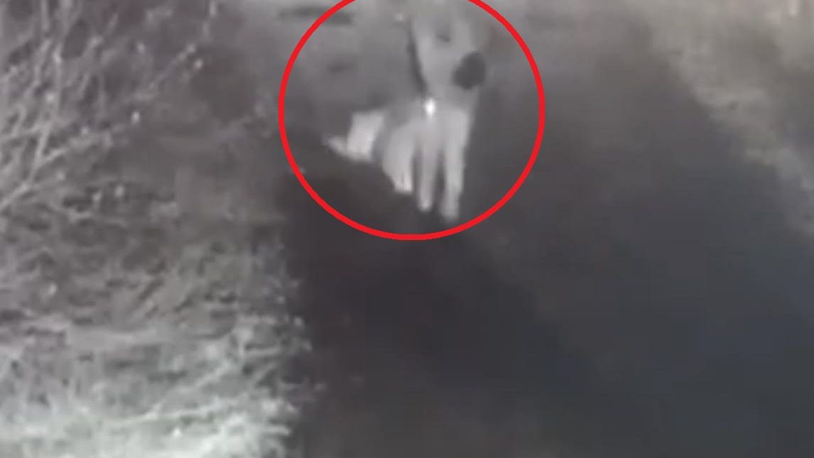 Mężczyzna podpalił flagę z symbolem "Z" 