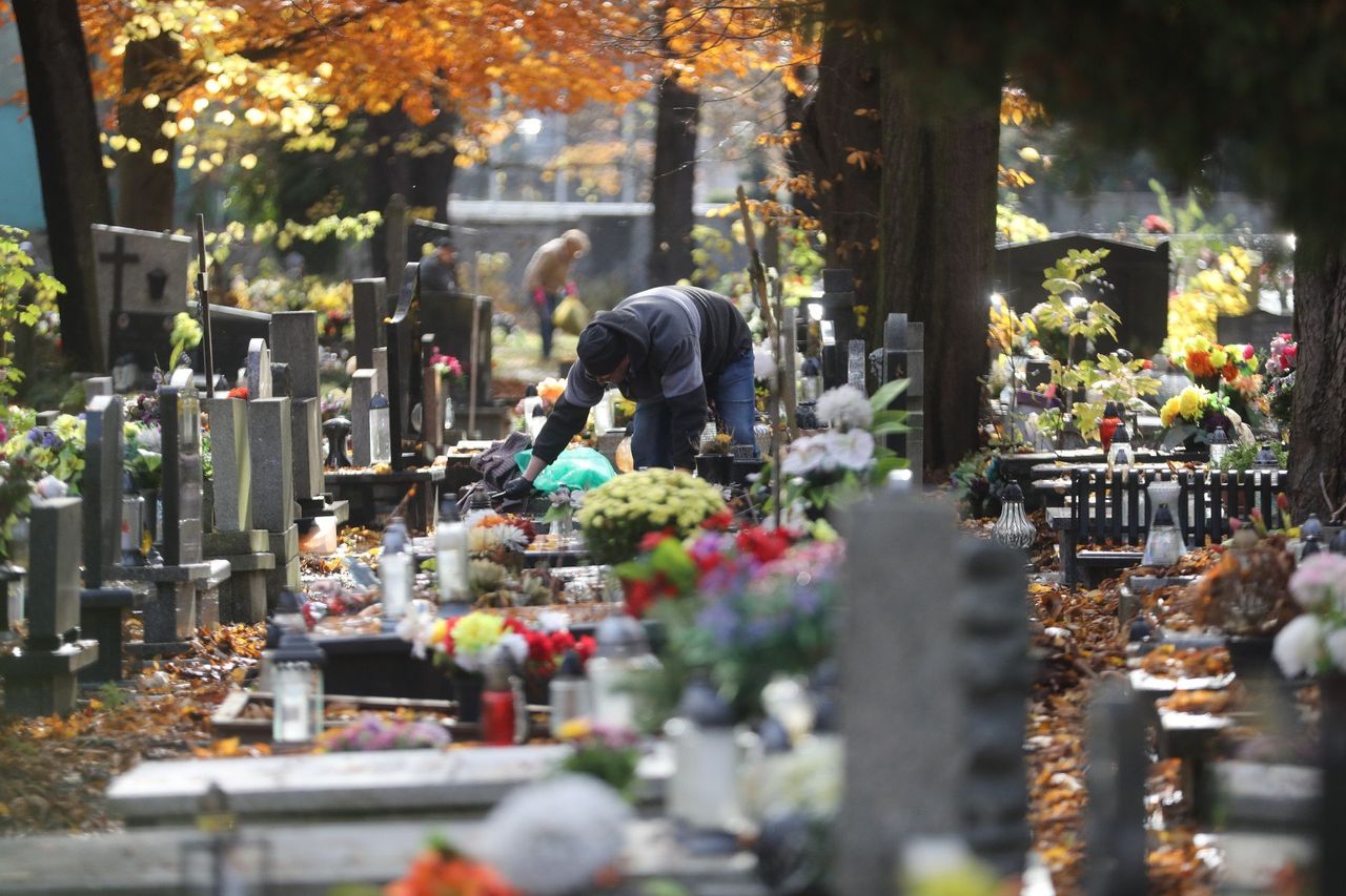 Katowice: Wszystkich Świętych zbliża się wielkimi krokami. Tak wyglądają porządki na cmentarzu przy Francuskiej