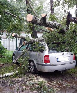 Drzewa spadały na samochody. Zdjęcia się dramatyczne
