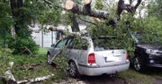 Drzewa spadały na samochody. Zdjęcia się dramatyczne