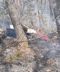 Katastrofa koreańskich samolotów KT-1. Wbiły się w górę