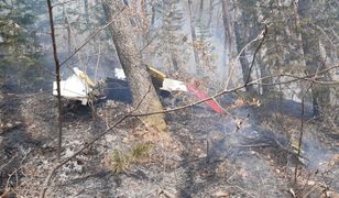 Katastrofa koreańskich samolotów KT-1. Wbiły się w górę