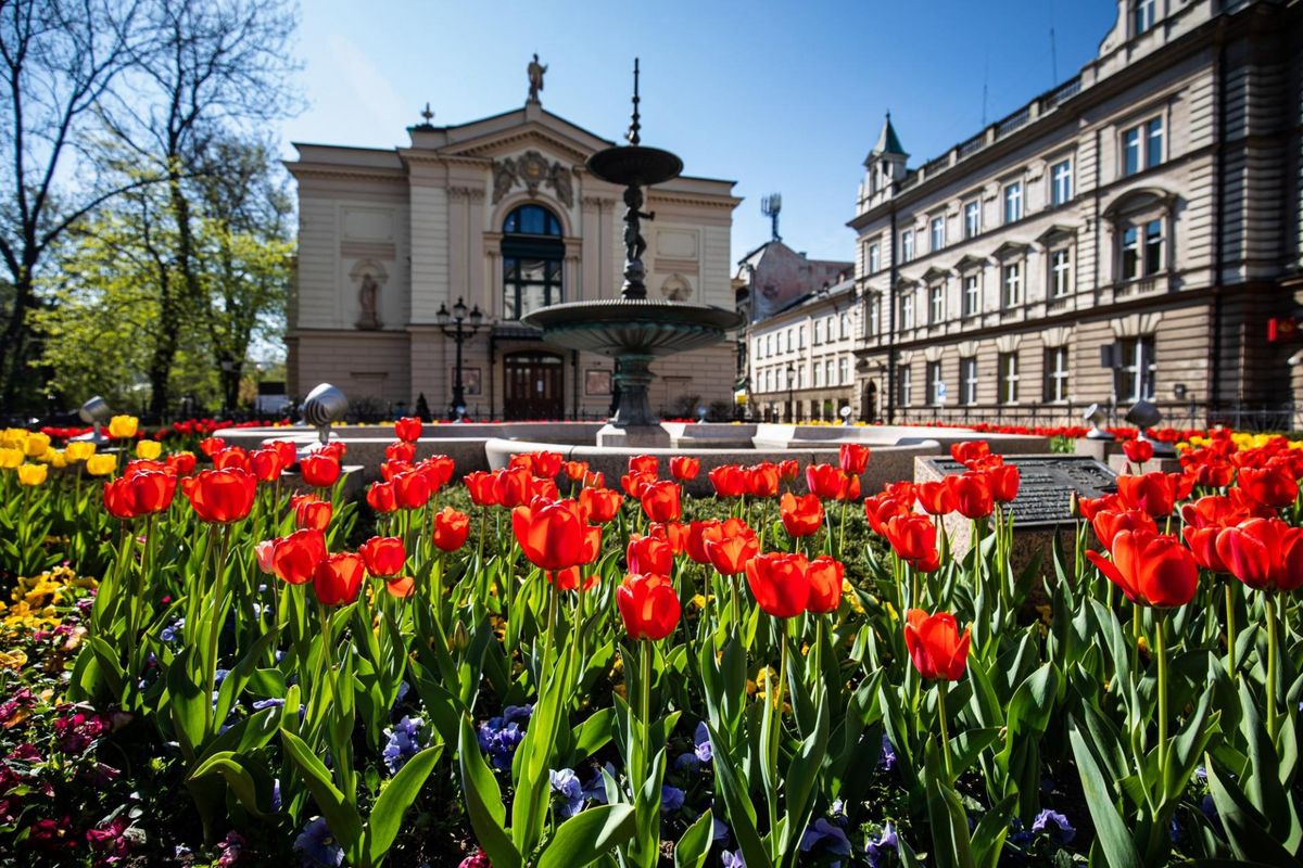 Bielsko-Biała. Już niedługo miasto zyska efektowną kwietną oprawę.