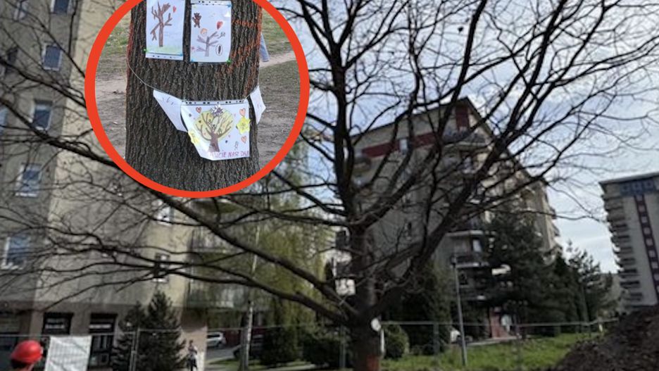 Historia o dziecięcym prot