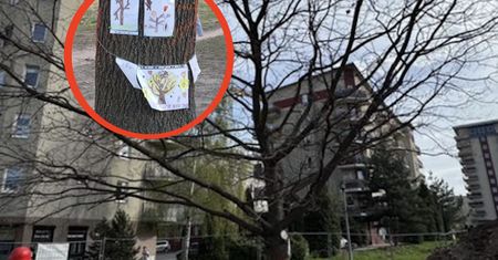 Wielka akcja w Krakowie. Dzieci nie odpuściły. Udało się