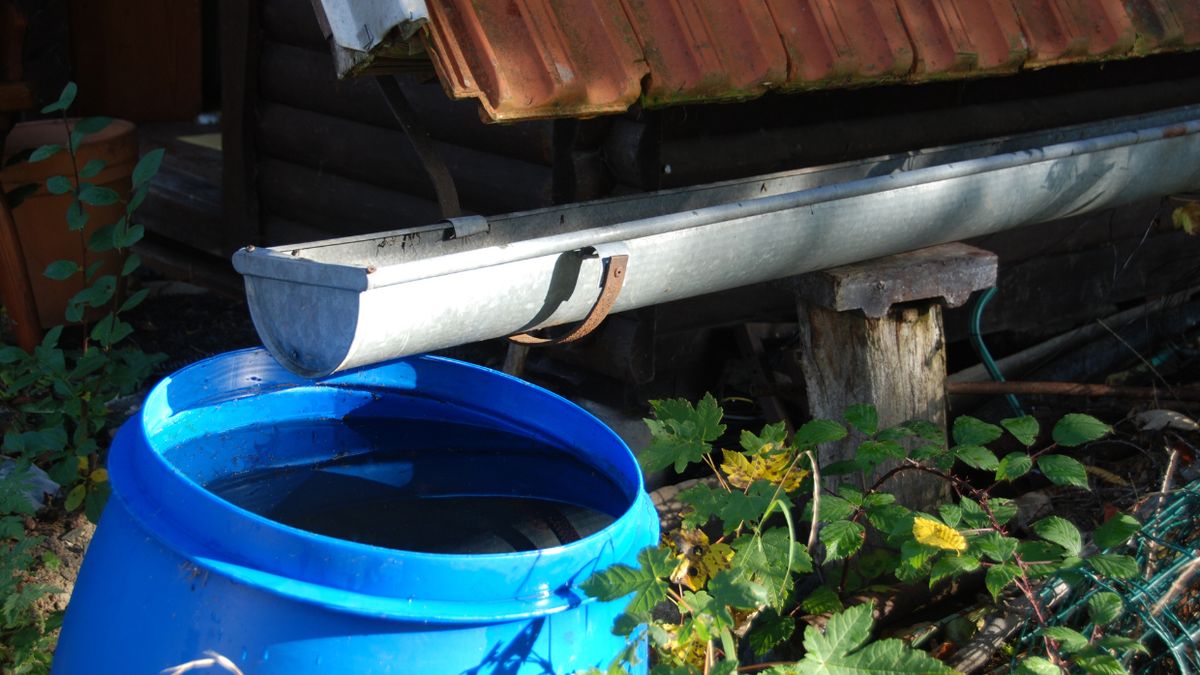 Kary za zbieranie deszczówki - w jakich przypadkach?