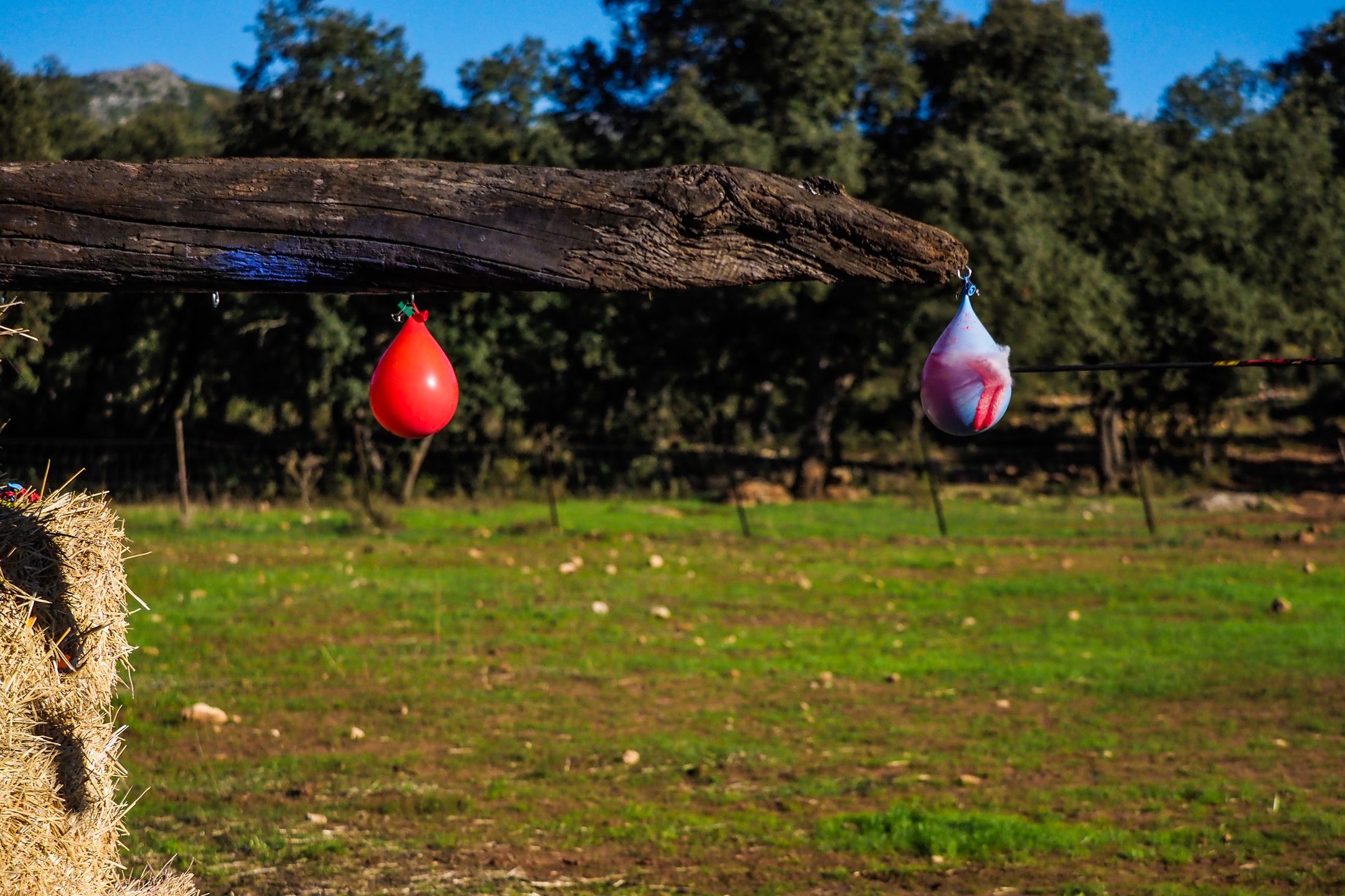 Olympus OM-D E-M1 Mark II - najszybszy na rynku [test] 32