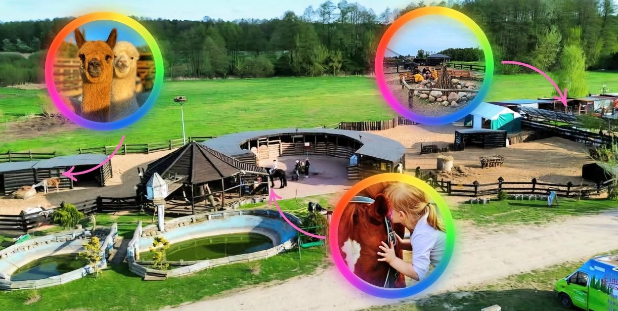Fundacja Eldorado & Kucykomania Pomoc Dzieciom z Niepełnosprawnościami