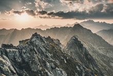 TPN potrzebuje agencji