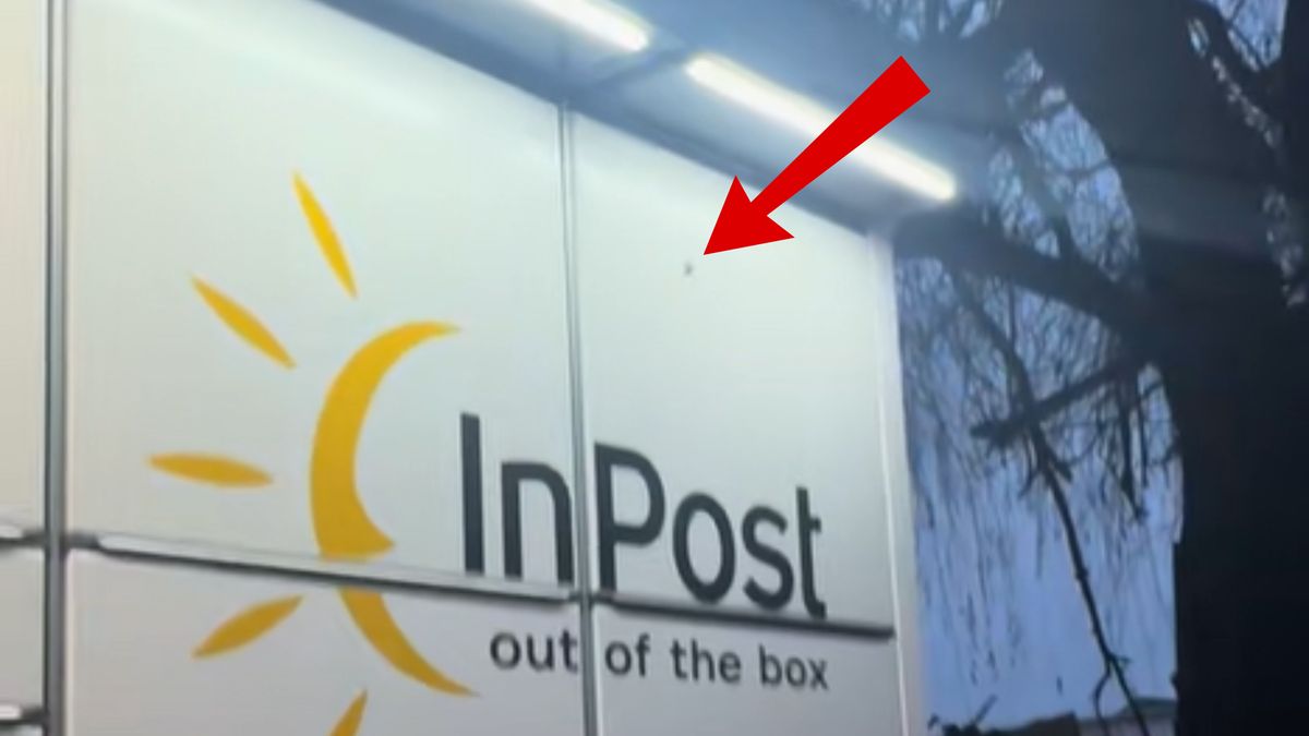 Pająk na paczkomacie. Aż złapała za telefon.