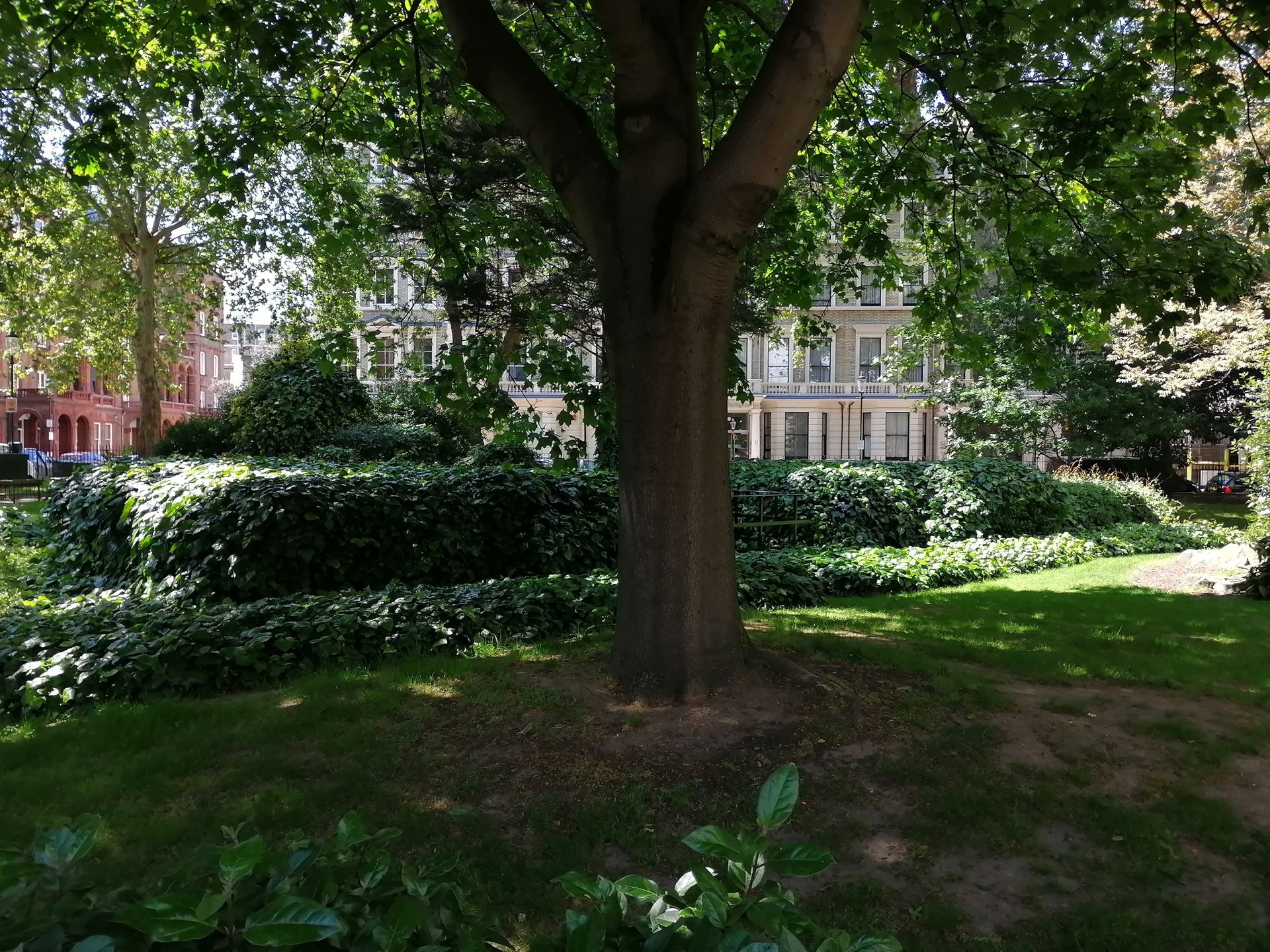 Honor 20 Lite oficjalnie. Nowy smartfon już w Polsce 2