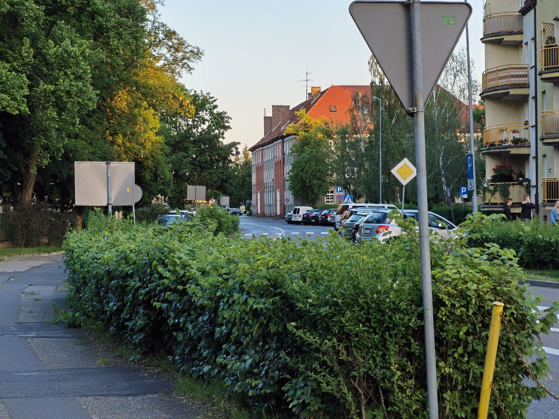 Taki zoom to ja rozumiem. Huawei P40 Pro+: test aparatu 6