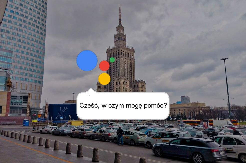 Google Assistant po polsku