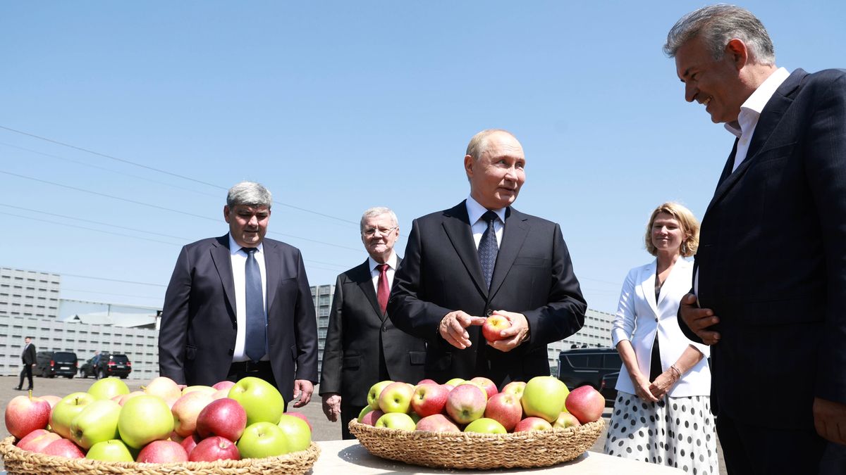 Russian President Putin visits North Caucasian Federal District
epa11556661 Russian President Vladimir Putin (C), accompanied by Head of the Kabardino-Balkarian Republic Kazbek Kokov (L), Presidential Envoy to the North Caucasian Federal District Yury Chaika (2-L) and Agriculture Minister Oksana Lut, listens to Agro-07 Director Alim Geduev (R) during a visit to the Agro-07 agricultural enterprise in the village of Germenchik, Kabardino-Balkaria, Russia, 20 August 2024.  EPA/VYACHESLAV PROKOFYEV/SPUTNIK/KREMLIN POOL MANDATORY CREDIT 
Dostawca: PAP/EPA.
VYACHESLAV PROKOFYEV/SPUTNIK/KREMLIN POOL