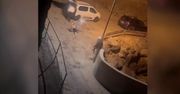 Wysokie kary dla turystów na Kanarach. Co oni sobie myśleli?