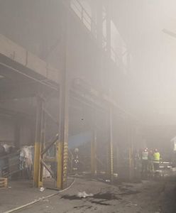 Ogromny pożar w sortowni śmieci w Poznaniu. W akcji kilkanaście zastępów