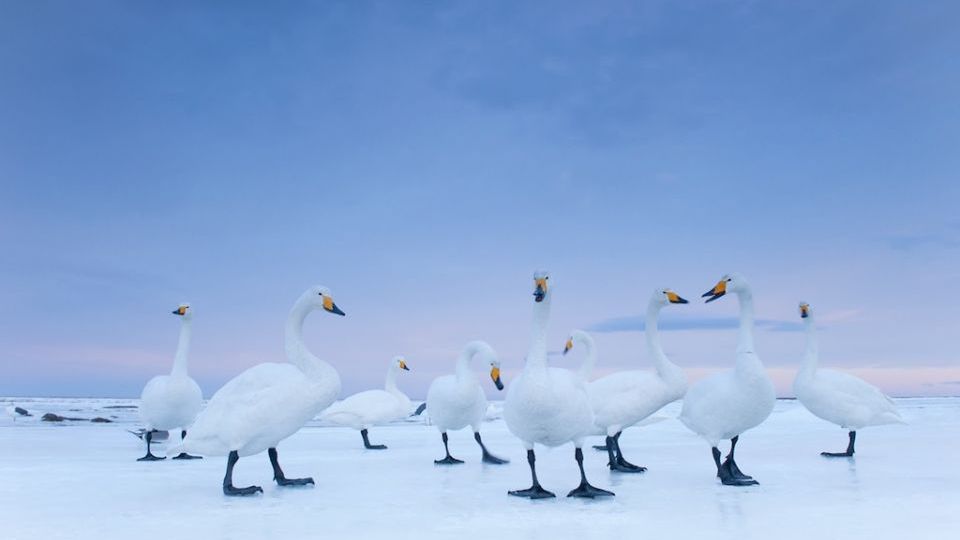 Wystawa World Press Photo w Warszawie 1