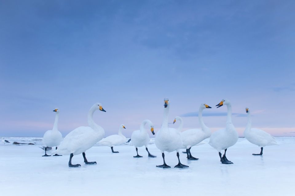 Fot. Stefano Unterthiner / dla National Geographic / Włochy