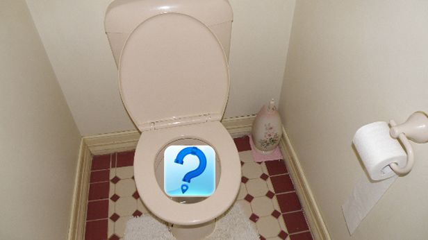 Chcesz wiedzieć gdzie jest twoja kupa? Jest na to aplikacja! 1