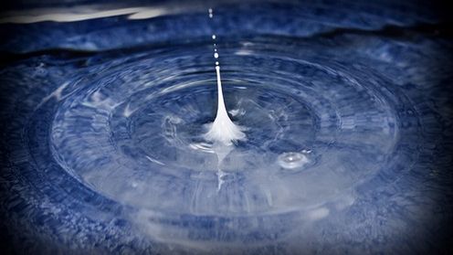 Mleczny sposób na oczyszczanie gleby 1