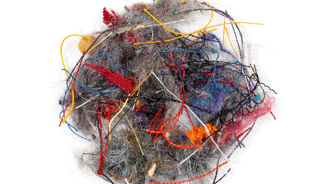 Kolorowy i różnorodny świat kurzu na zdjęciach Klausa Pichlera 1