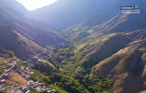 Canal+ Polska może zmienić ofertę kanałów linearnych