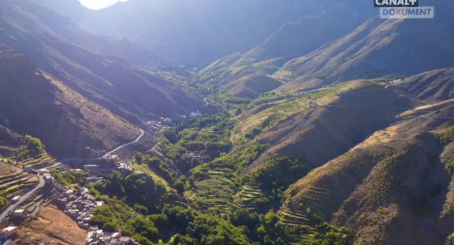 Canal+ Polska może zmienić ofertę kanałów linearnych