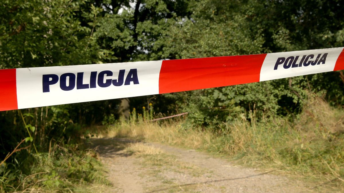 policja