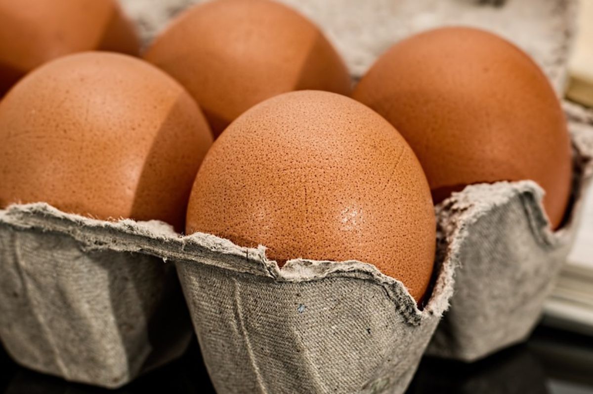 Dlaczego jajka powinno się przechowywać szerszą stroną ku górze?