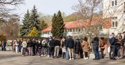 W Toruniu znów ustawią się kolejki. Wszystko dla psów ze schroniska
