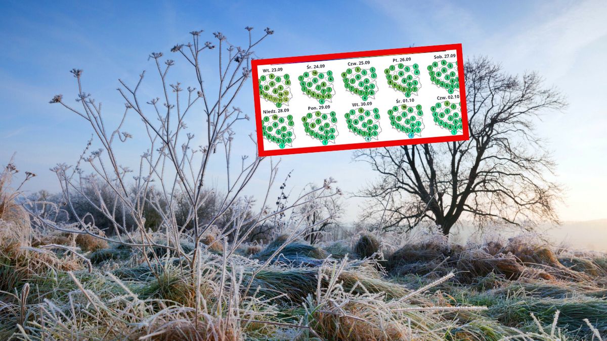 Pogoda. Zrobi się naprawdę zimno