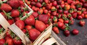 Ceny truskawek zanurkowały. Jeszcze niedawno biły rekordy. Skąd taka zmiana?