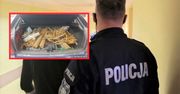 30-latek miał bagażnik pełen "fantów". Niestety, trafił na policję