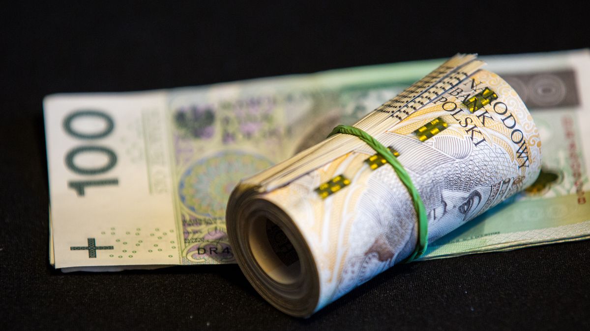 In this photo illustration Polish zloty banknotes seen
POLAND - 2019/12/13: In this photo illustration Polish zloty banknotes seen displayed. (Photo Illustration by Karol Serewis/SOPA Images/LightRocket via Getty Images)
SOPA Images
cash, money, polish banknotes, note, notes, zloty, bestof, topix