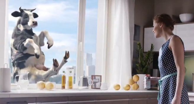 Krowa i „kuchnia wysokich lotów” w kampanii śmietanki Łaciata (wideo)