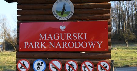 Cmentarzysko zwierząt przy parku narodowym. Policja bada sprawę