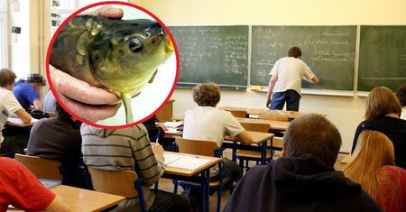 Studentka nagrała makabryczne sceny. Jest reakcja uczelni