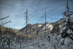 Tatry. Groźny wypadek w okolicach Morskiego Oka