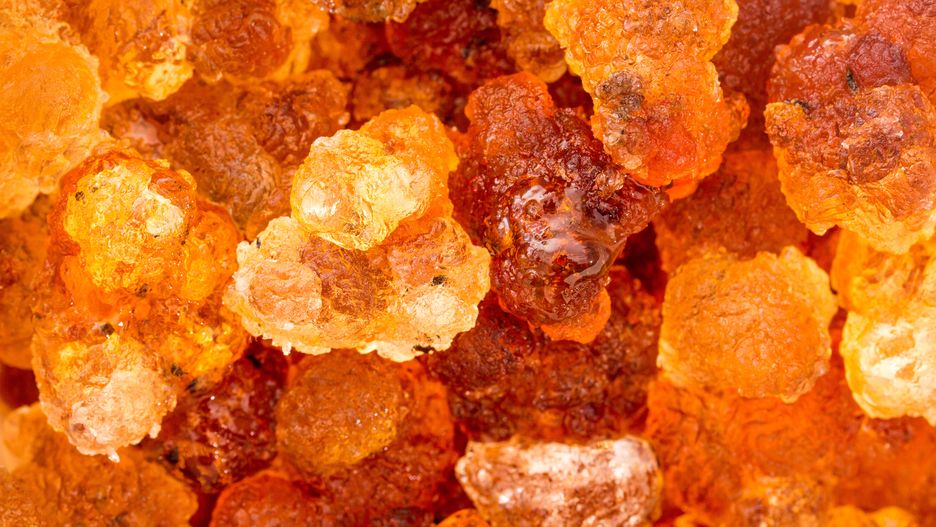 Guma brzoskwiniowa? Warto wiedzieć, co to za produkt