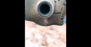 Czeski karabin ZVI Falcon OP99 w Ukrainie. Dostarczono tylko 19 sztuk