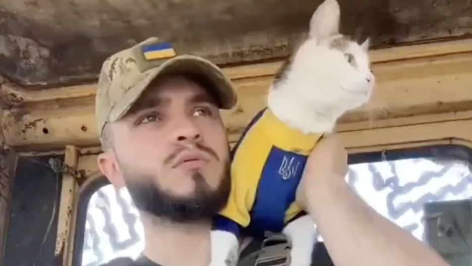 Aleksander opiekuje się Szajbą - kotem, który ochotniczo wstąpił w szeregi ukraińskiej armii