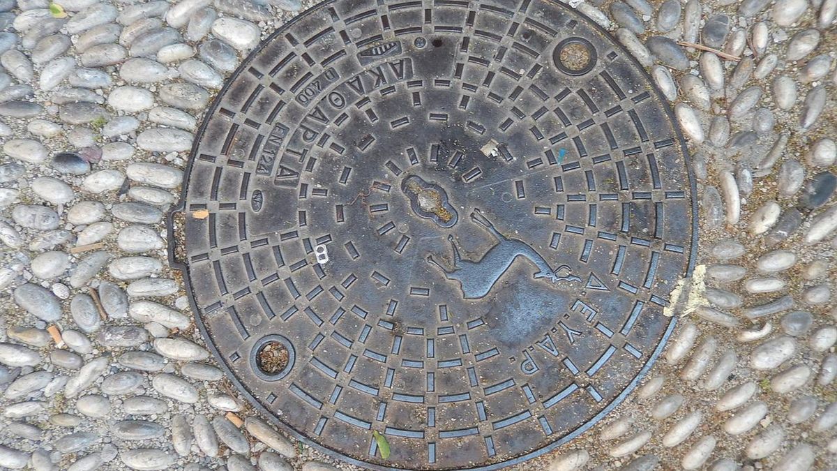 Zdjęcie ilustracyjne