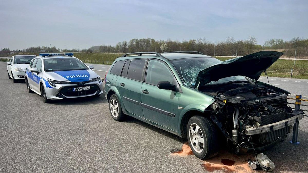 Zdjęcie ilustracyjne