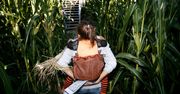 Gigantyczna atrakcja w Kalifornii. Turyści wchodzą i dzwonią po pomoc