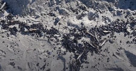 Czarna, lepka substancja na plażach. Nawet Niemcy o niej piszą