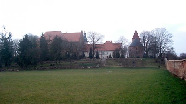 Obraz