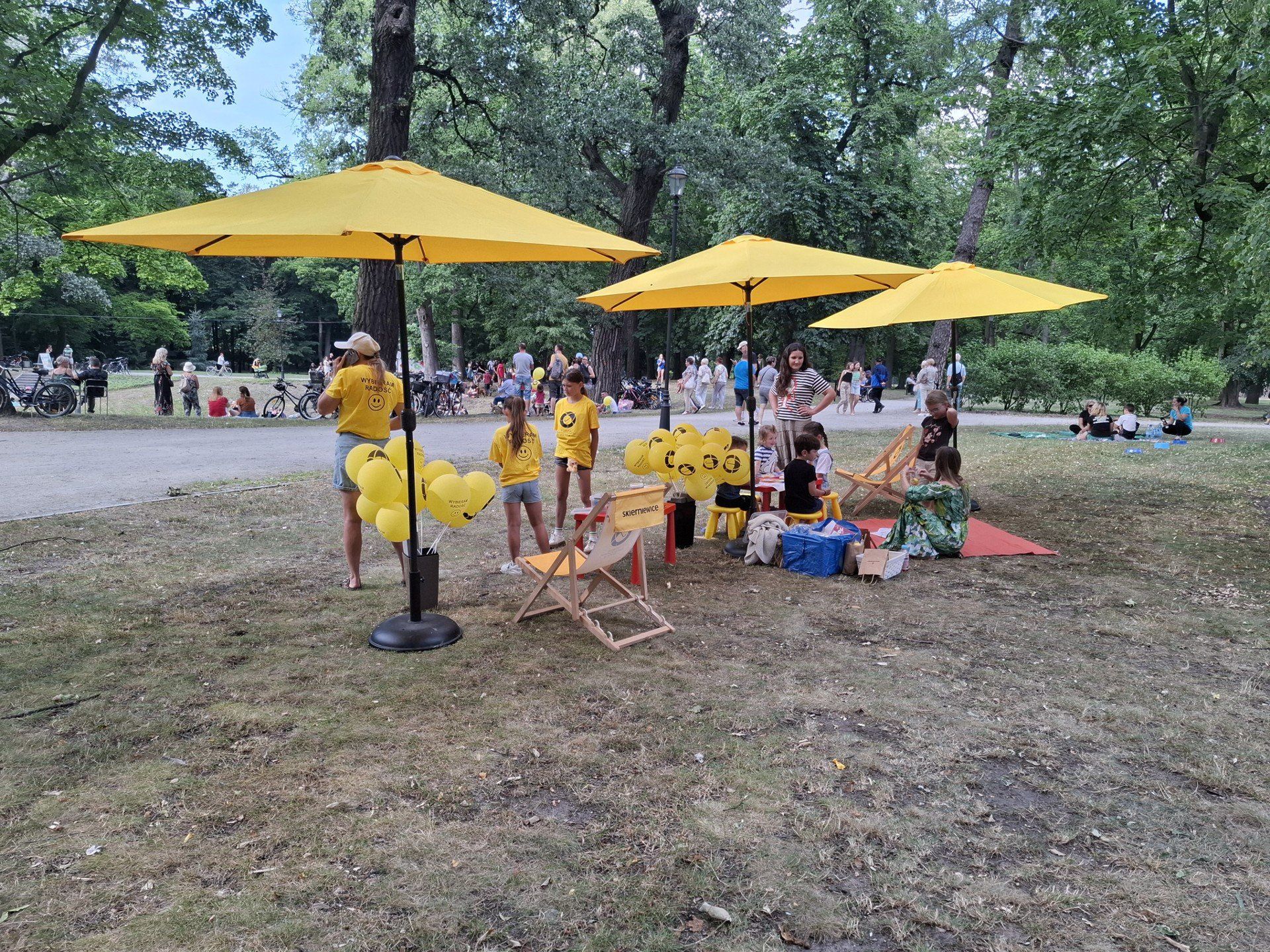 Tłumy na koncercie Kraków Street Band w skierniewickim parku