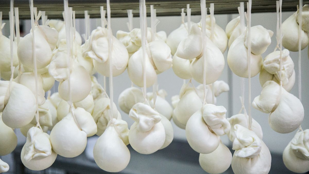 Scamorza