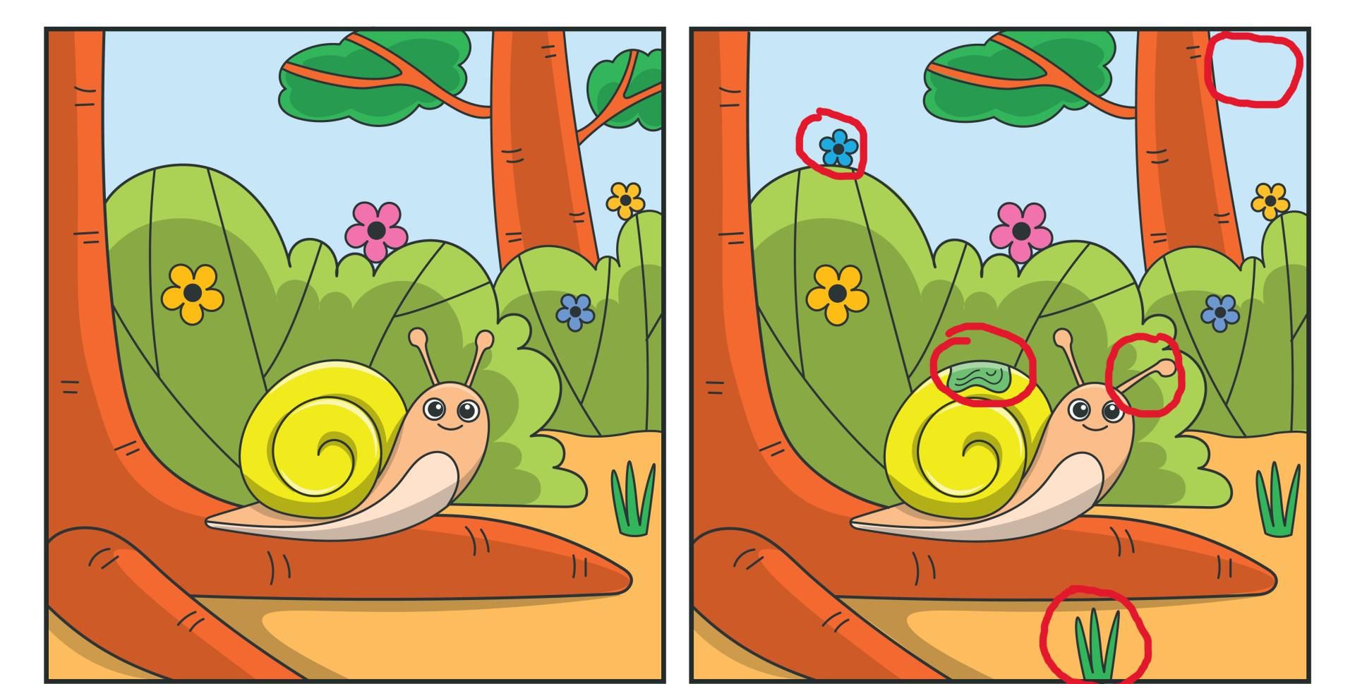 Rozwiązanie zagadki ze ślimakiem